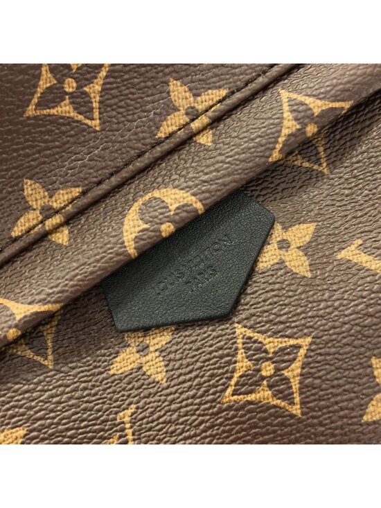 Louis Vuitton Monogram Palm Springs Backpack PM main image 8